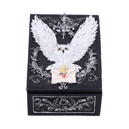 Nemesis Now - Boîte "Owl Messenger Box" 13.5cm - flash vidéo