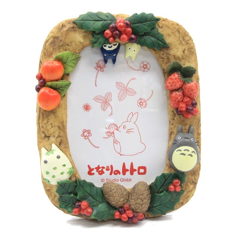 CADRE PHOTO HIVER - MON VOISIN TOTORO