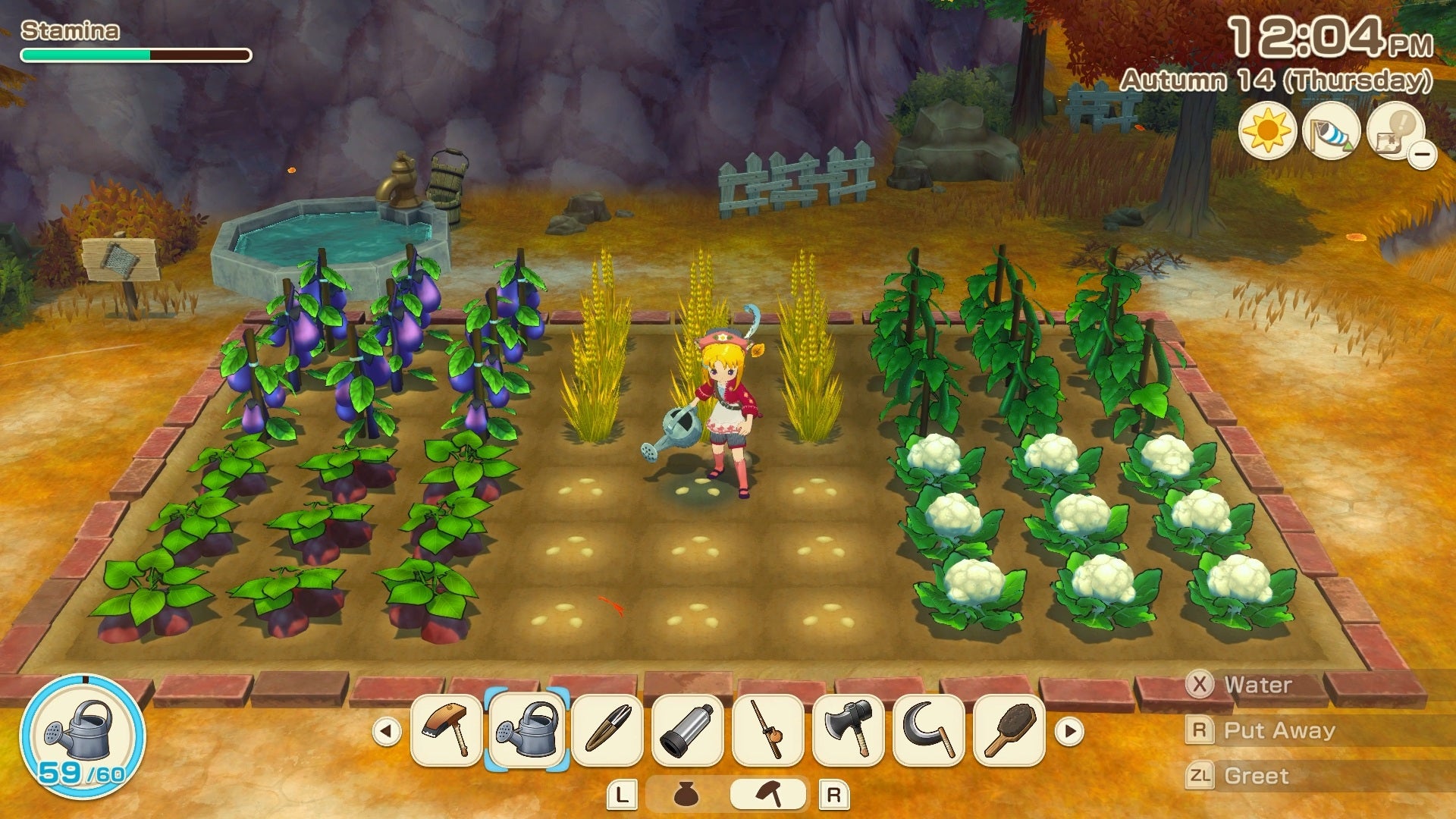 STORY OF SEASONS : Grand Bazaar - Limited Edition