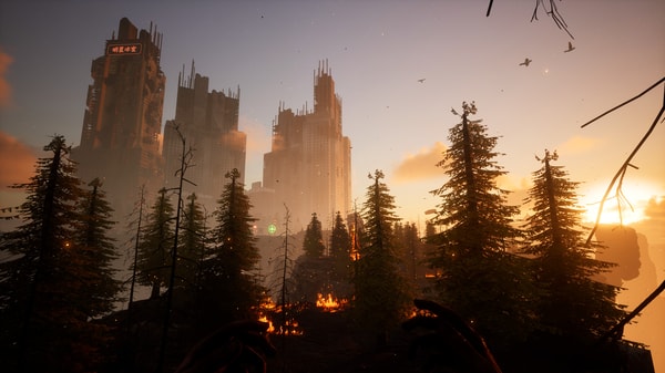 HORROR TALES : The Beggar - flash vidéo