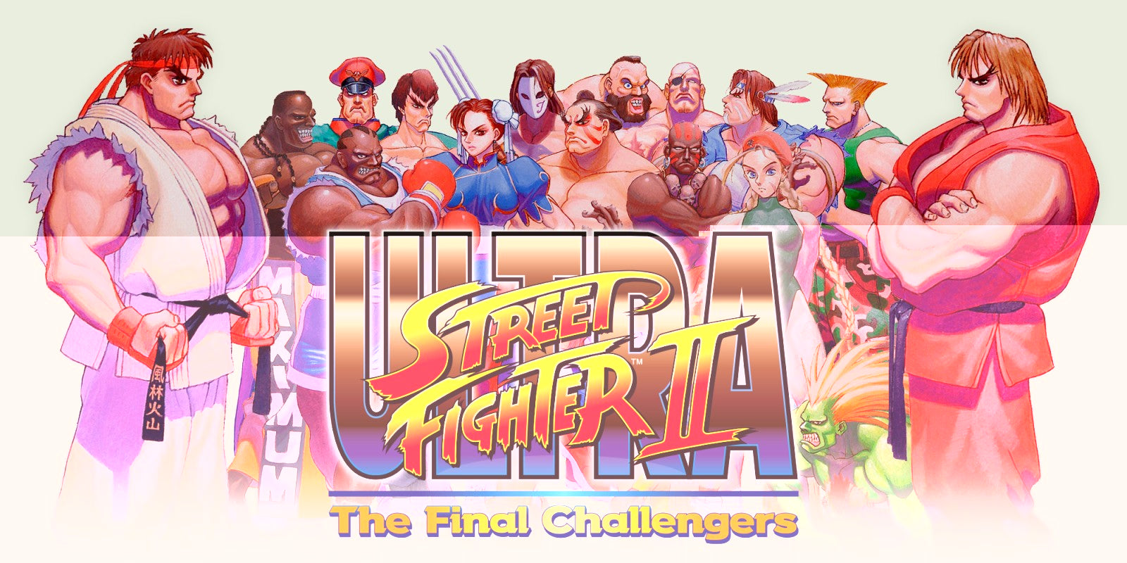 ULTRA STREET FIGHTER II: The Final Challengers (Code-in-a-Box) - flash vidéo