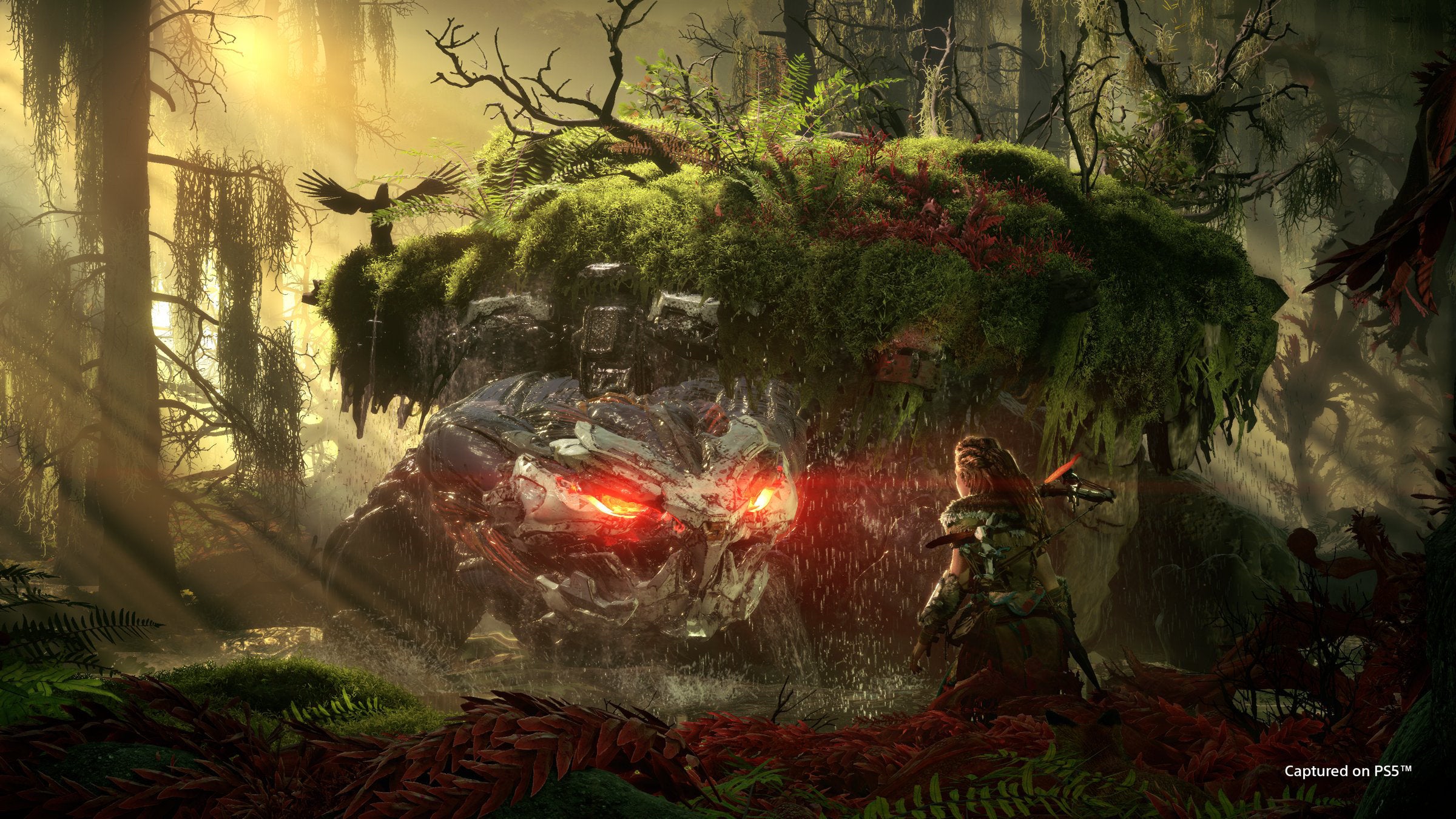 Horizon Forbidden West - flash vidéo