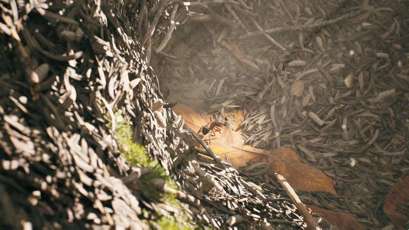 Empire of the Ants - Limited Edition - flash vidéo