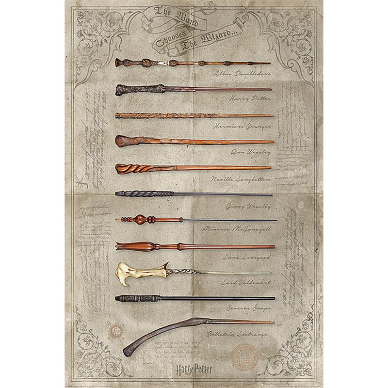 PL 41 - Harry Potter (The Wand Chooses The Wizard) - Maxi Poster 91x61cm