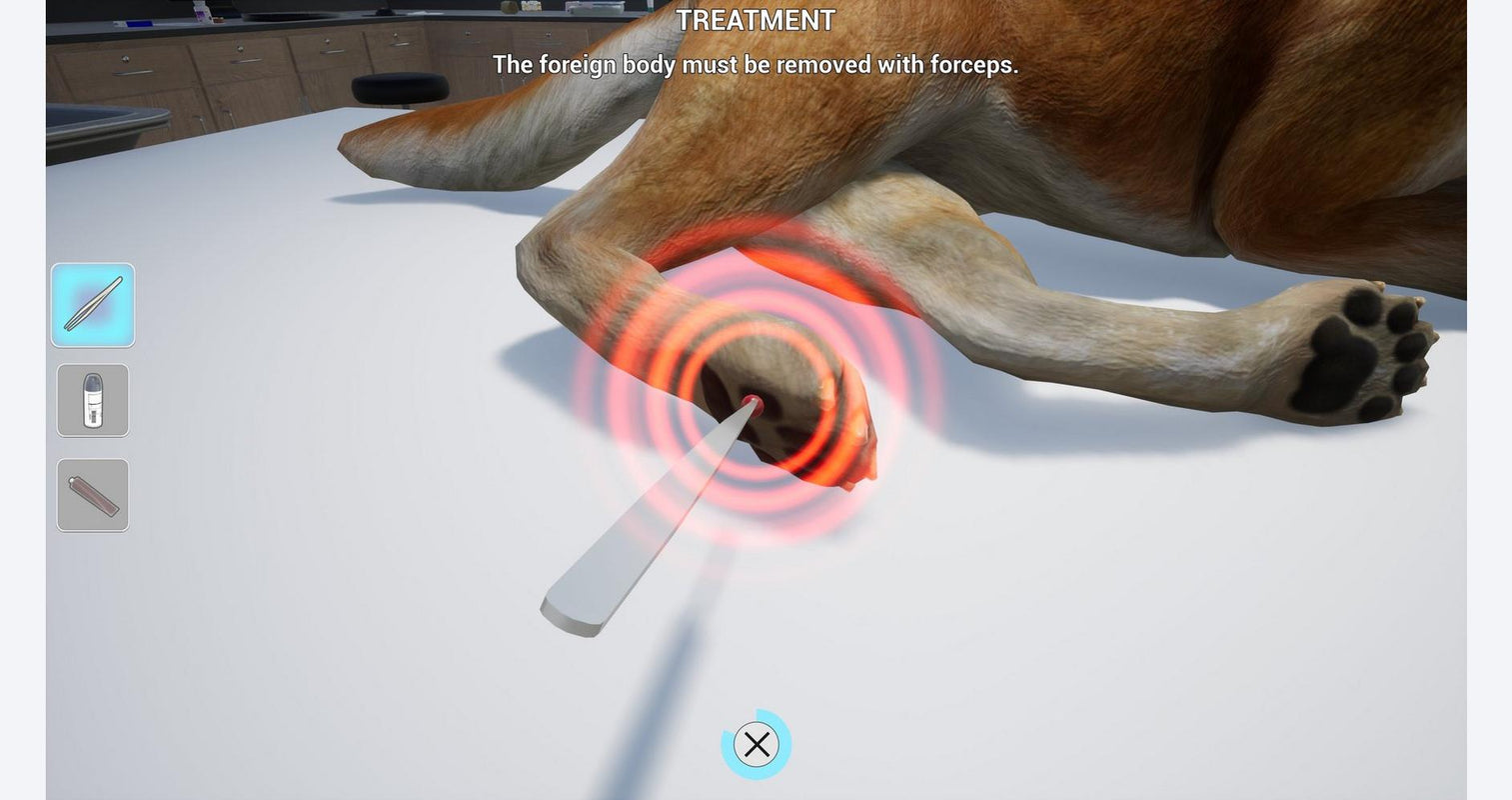 Mijn leven: Dierenarts
