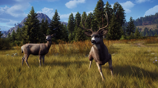 Way of the Hunter - Hunting Season One - flash vidéo