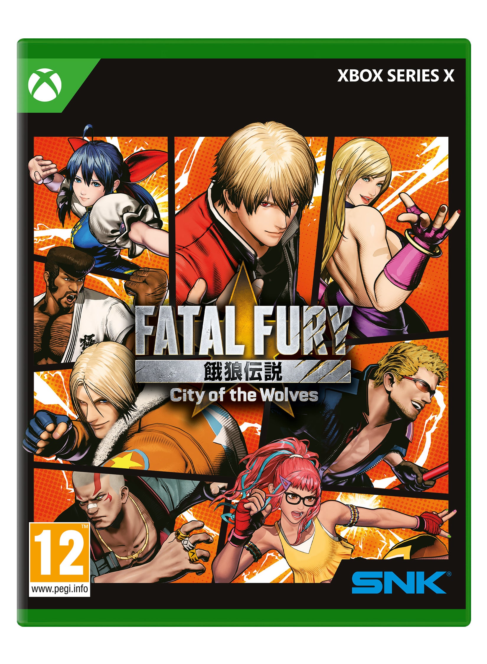 Fatal Fury : City of the Wolves - Special Edition - flash vidéo
