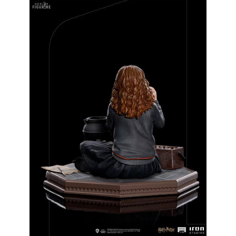 Iron Studios - Arts Scale 1/10 - Harry Potter and the Chamber of Secrets - Hermione Granger Polyjuice Statue 9cm - flash vidéo