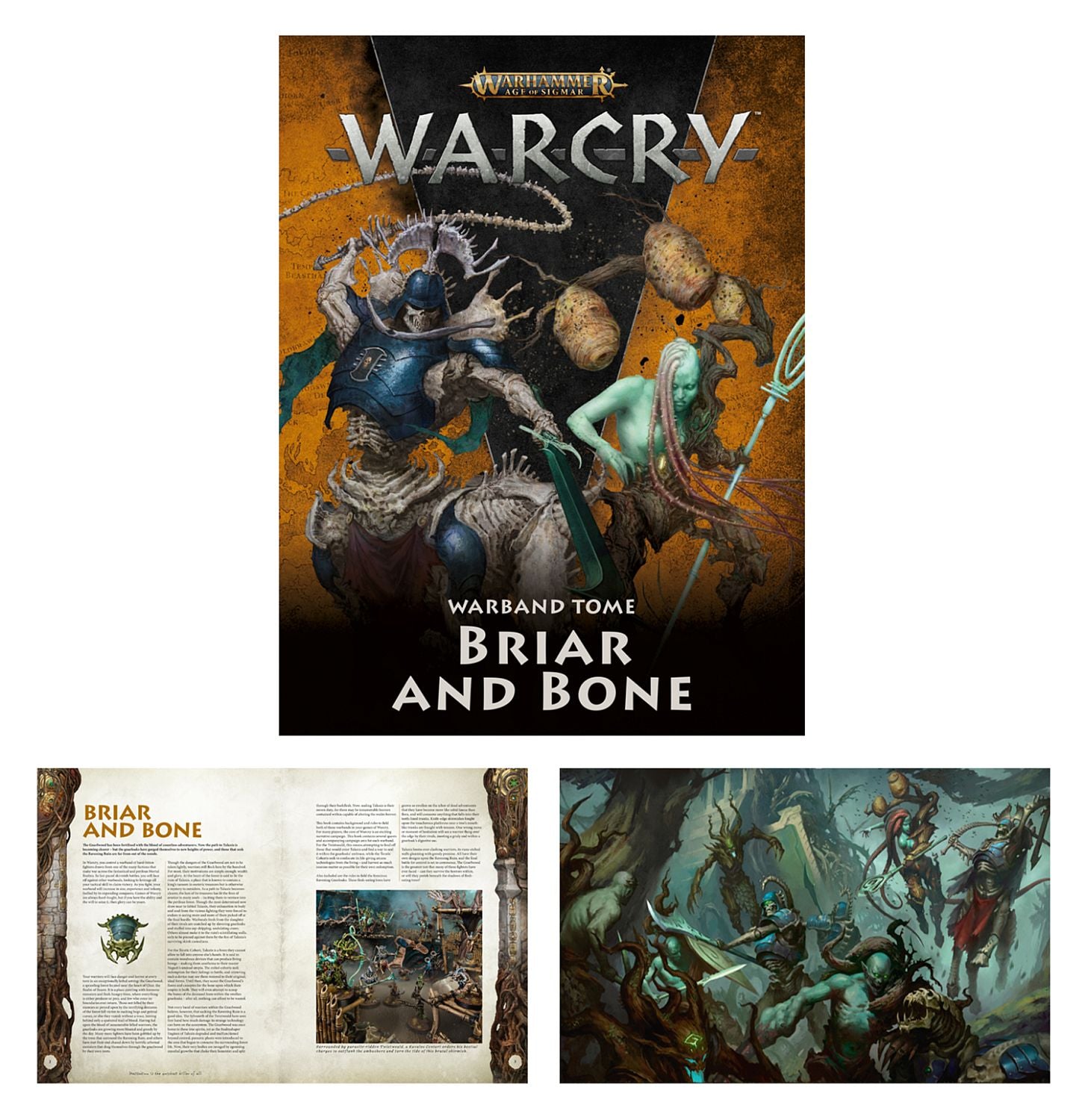 WARCRY: BRIAR AND BONE (ENGLISH) - flash vidéo