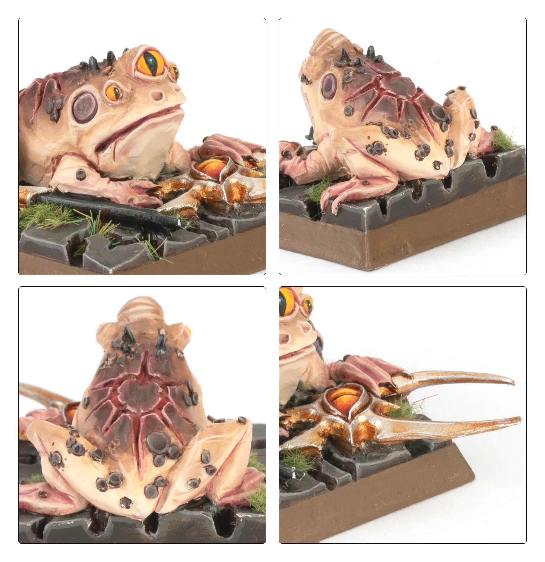 Grenouilles Arcaniques