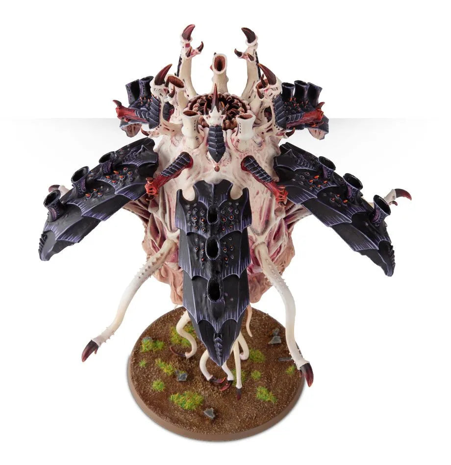 Sporocyst et Mucolid Spore