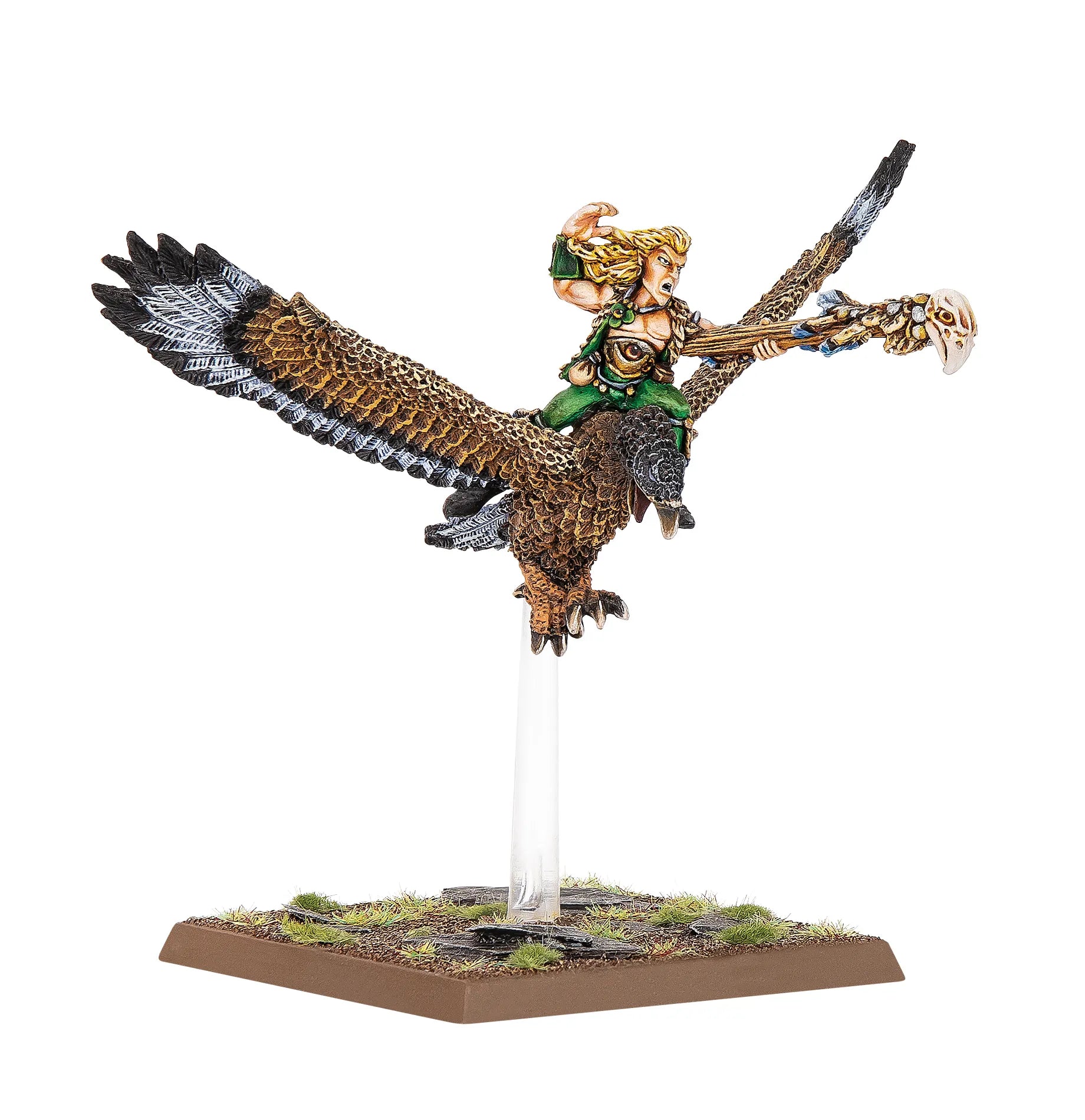 Mage Elfe Sylvain sur Faucon de Guerre