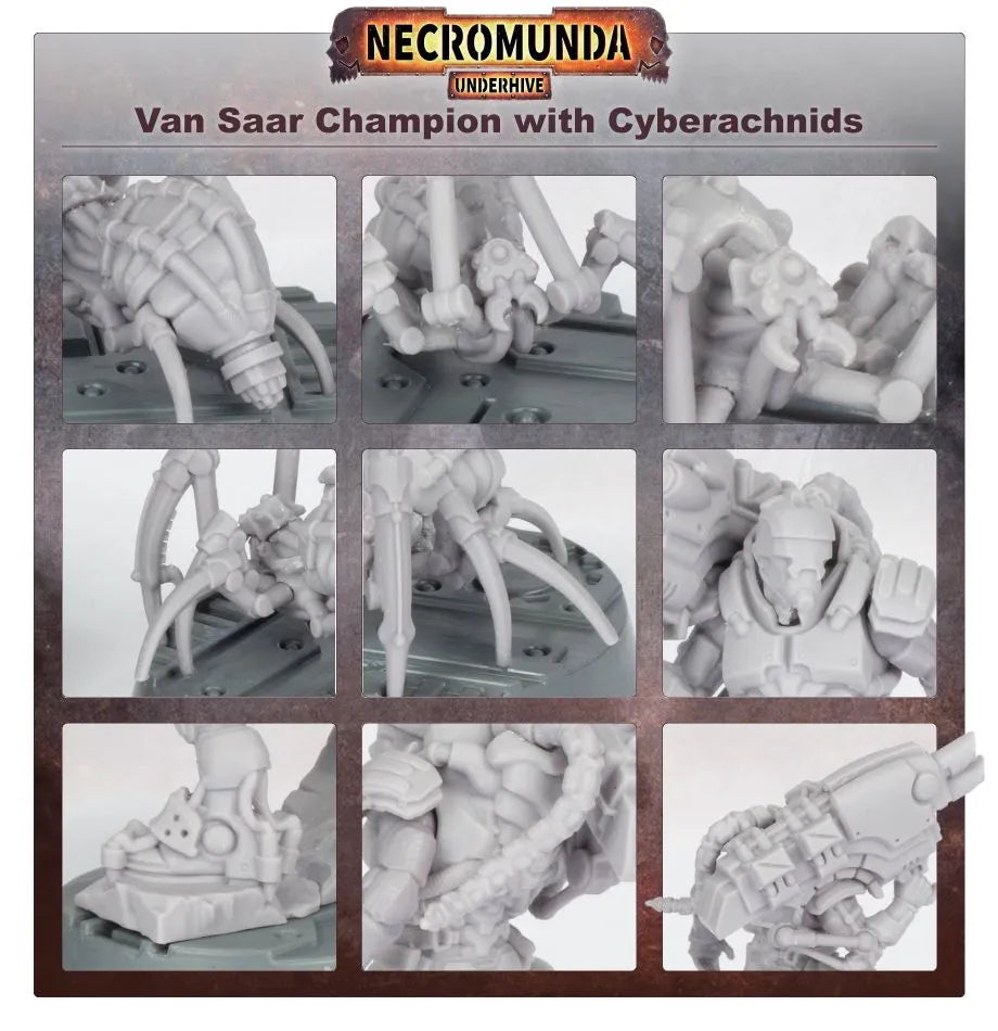 Van Saar Champion in Carapace Armour with Cyberachnids