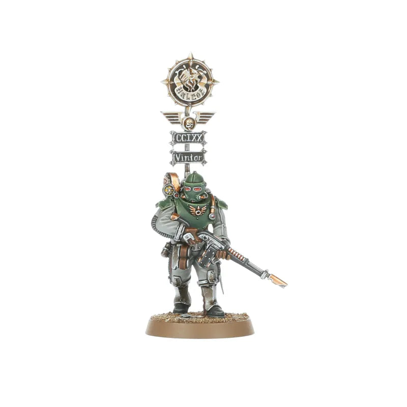 Force de Combat des Solar Auxilia