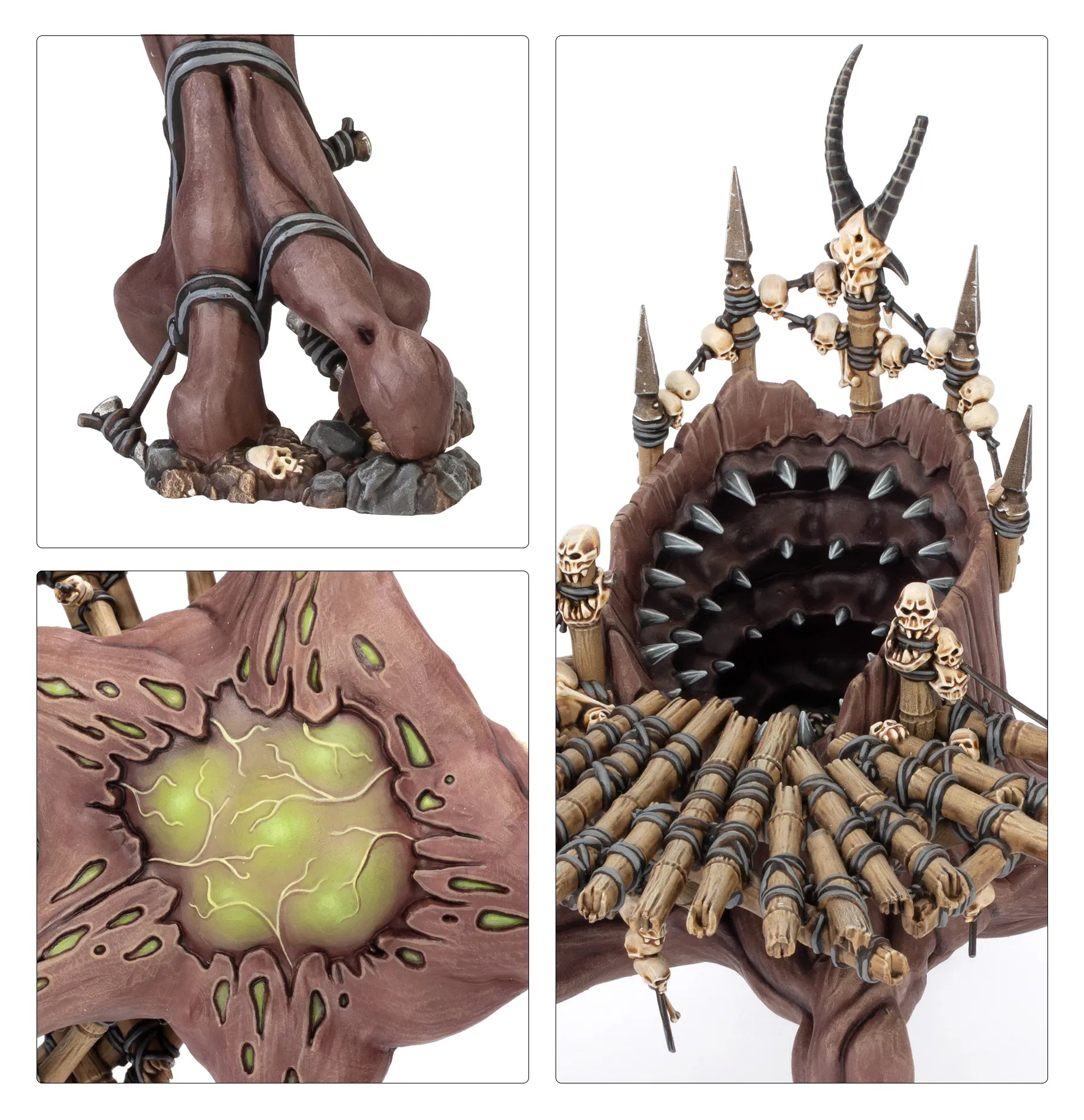 Chêne Noueux Dévorant