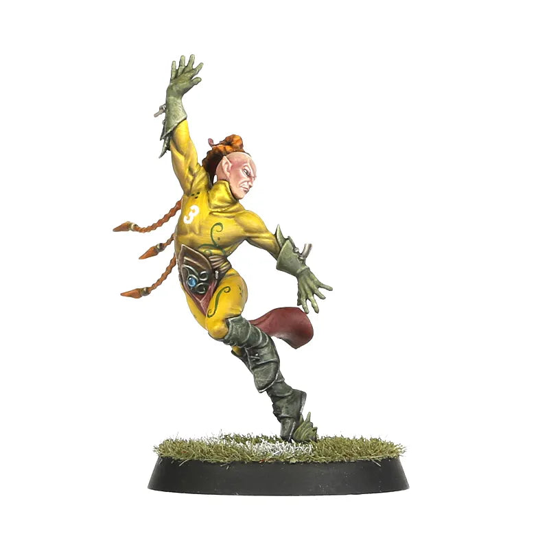 Équipe de Blood Bowl d'Elfes Sylvains: Athelorn Avengers