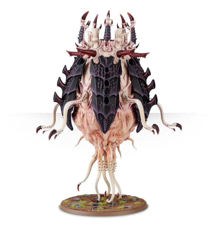 Sporocyst et Mucolid Spore