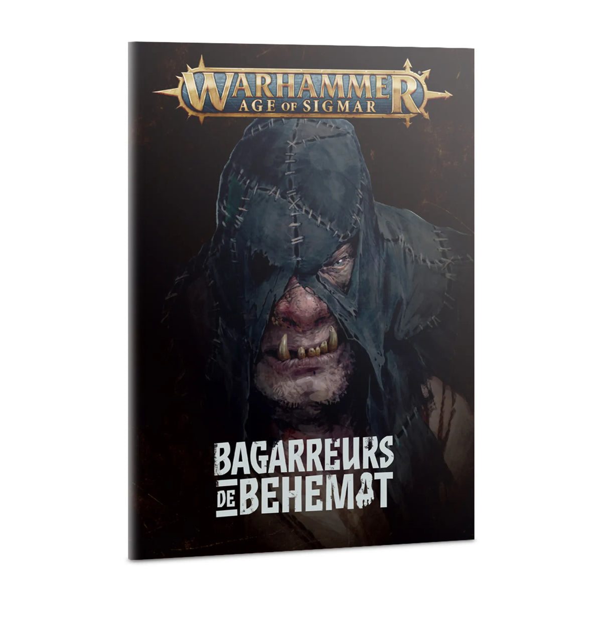 Bagarreurs de Béhémat
