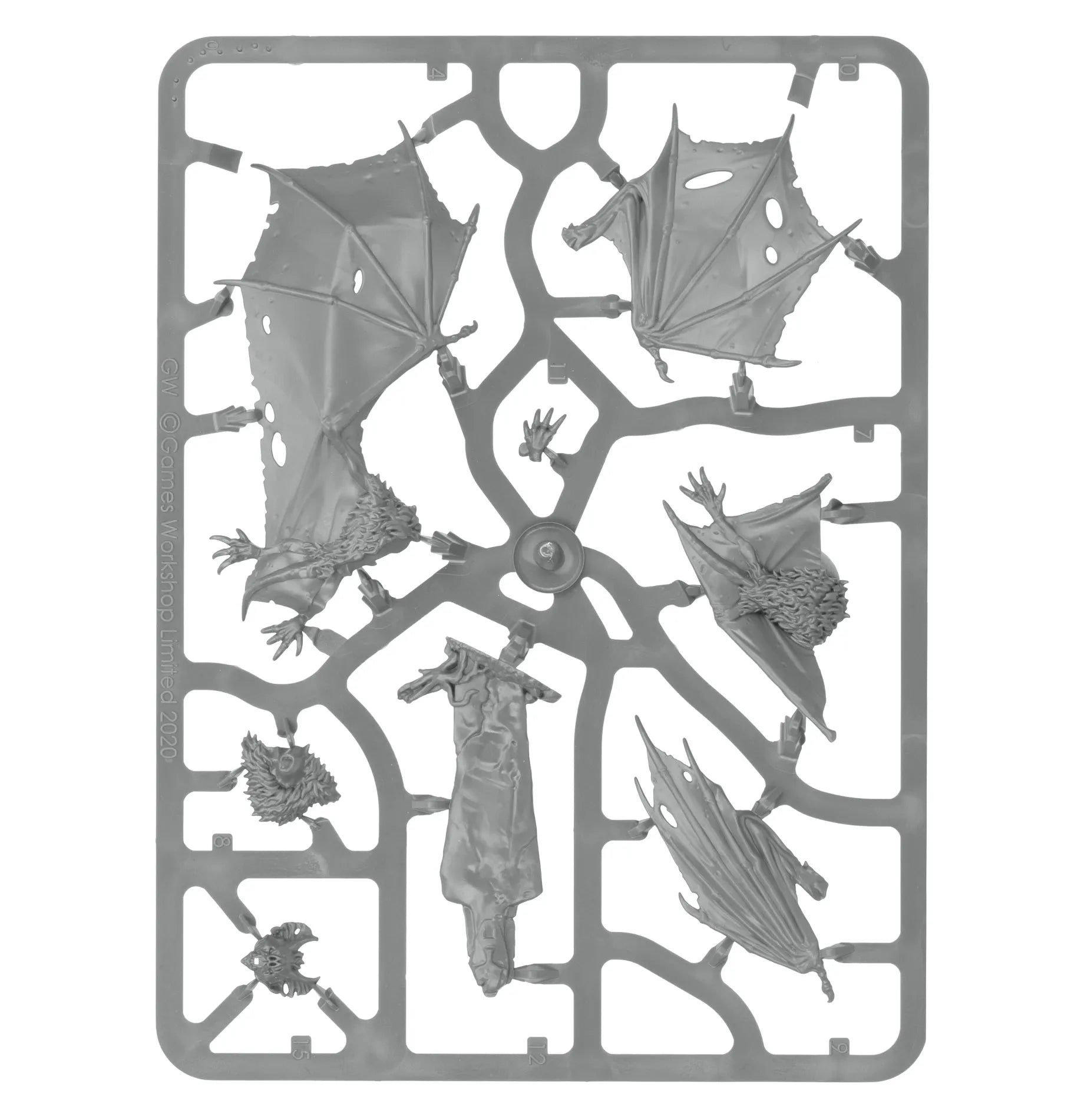 Chauves-souris Géantes
