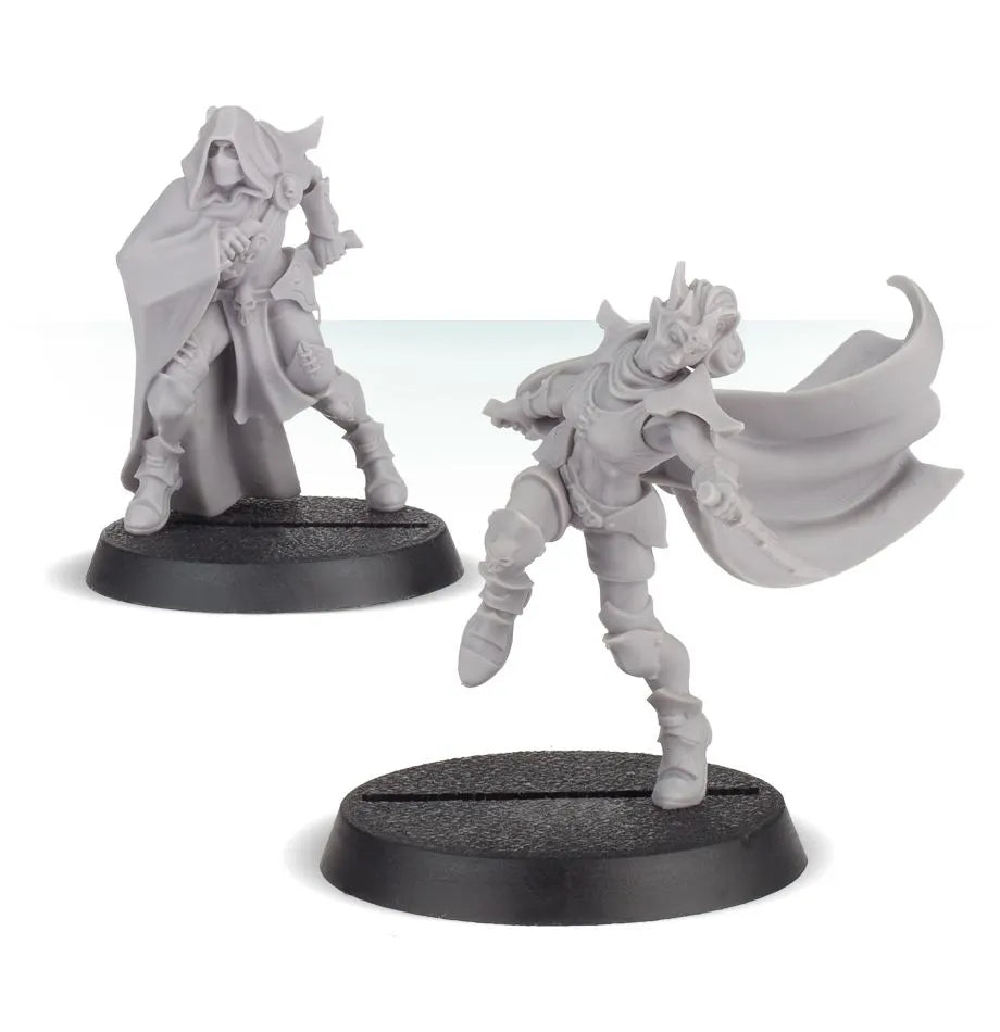 Dark Elf Assassins