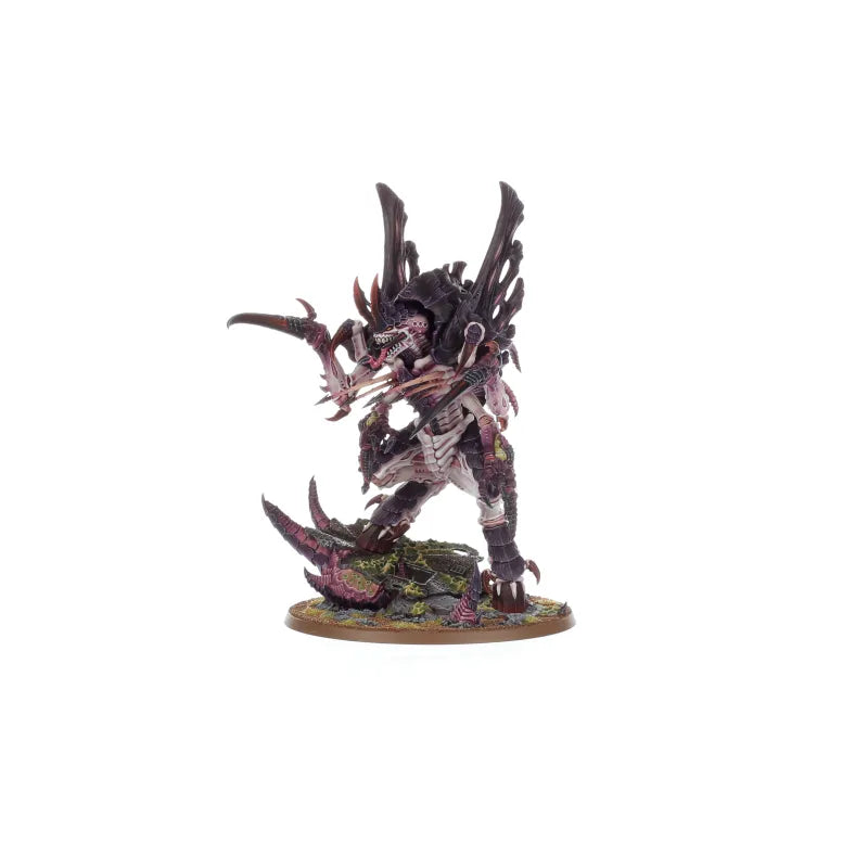 Assimilatrice Norne