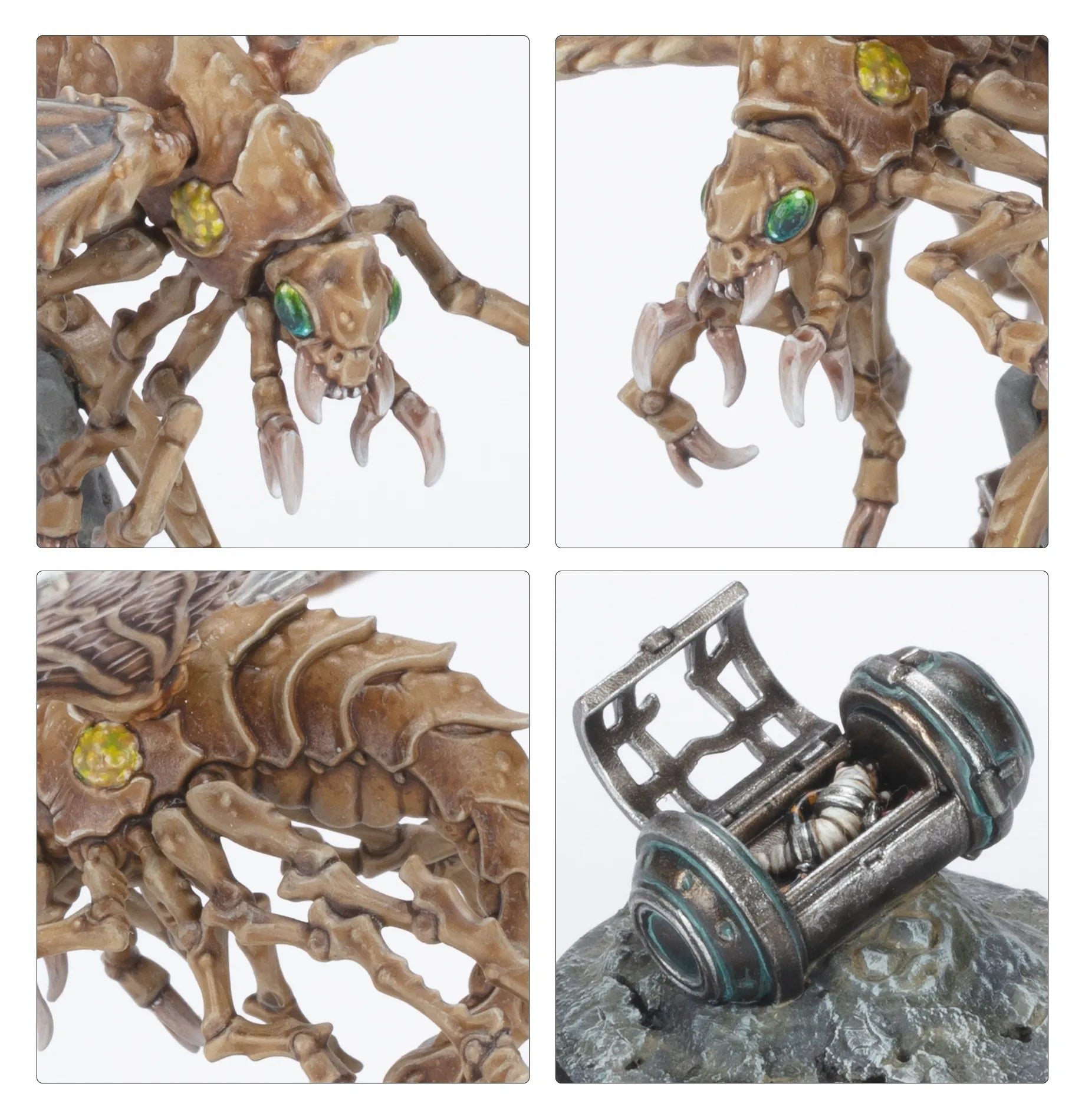 Ashwing Helamites