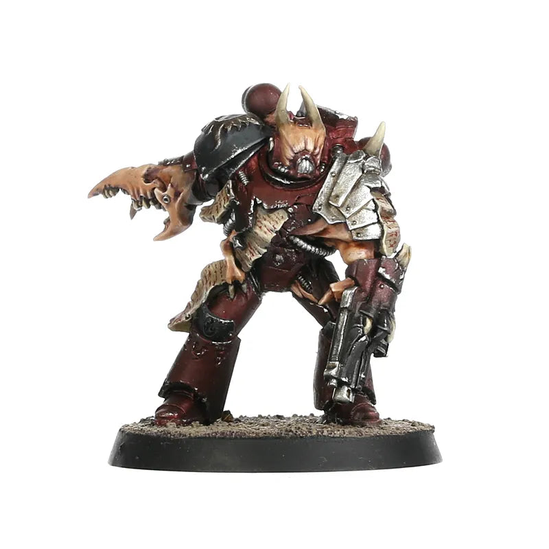 Gal Vorbak