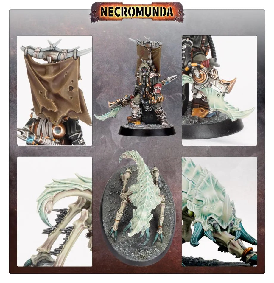 Ash Waste Nomads Herder with Arthromite Duneskuttler