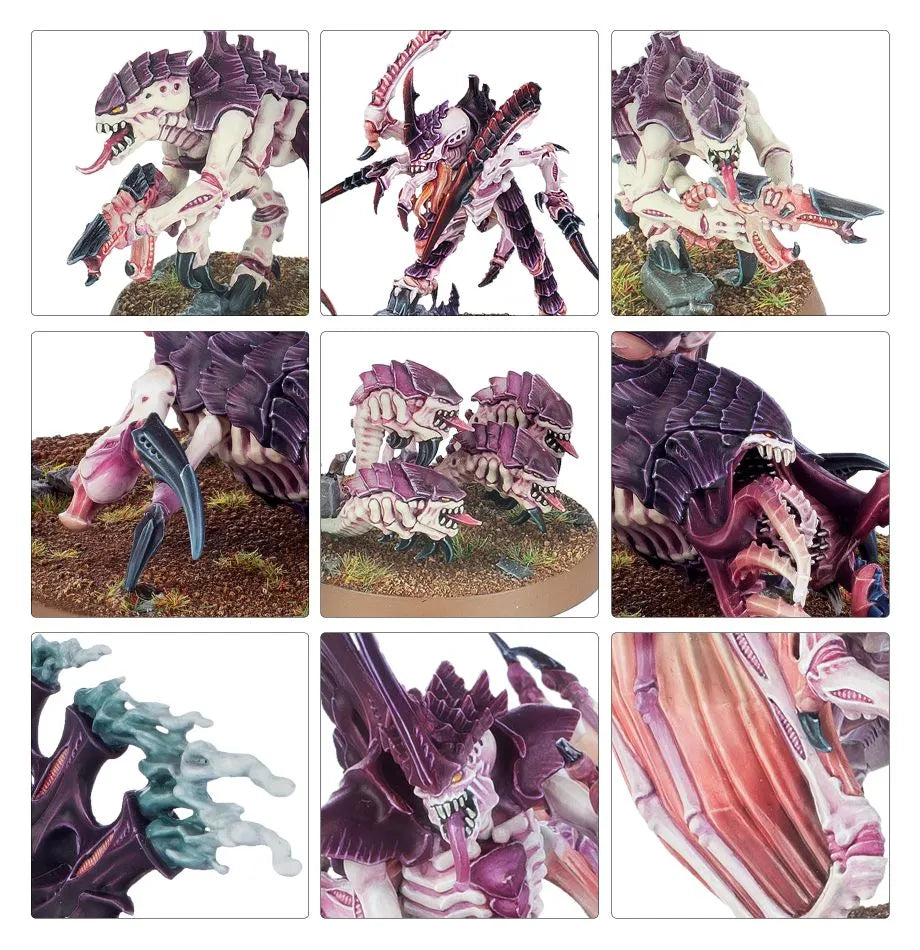 Patrouille: Tyranides