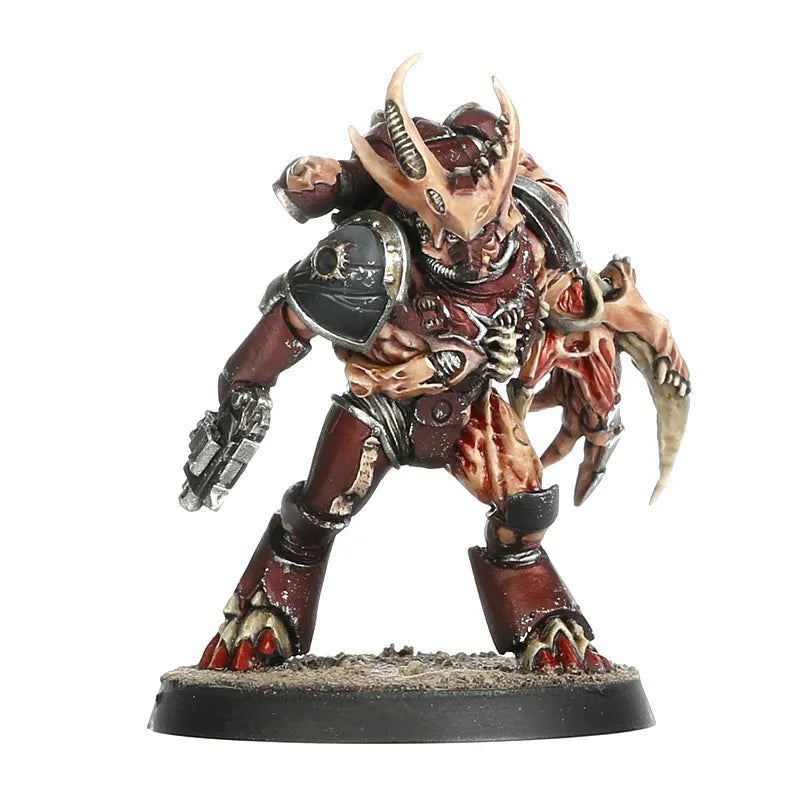 Gal Vorbak