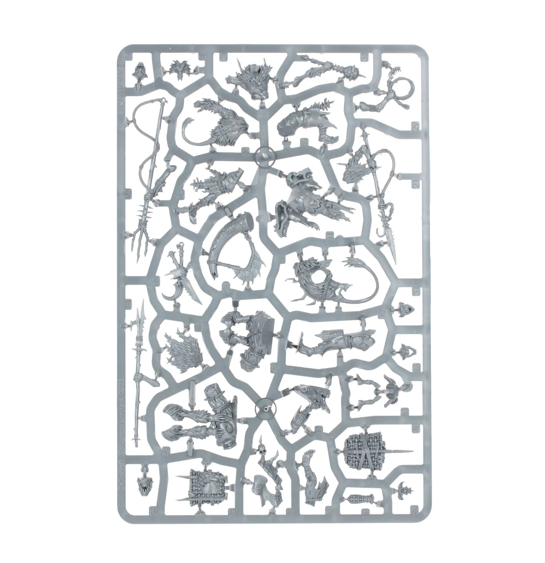 Warcry: Kruelboyz Brakonniers