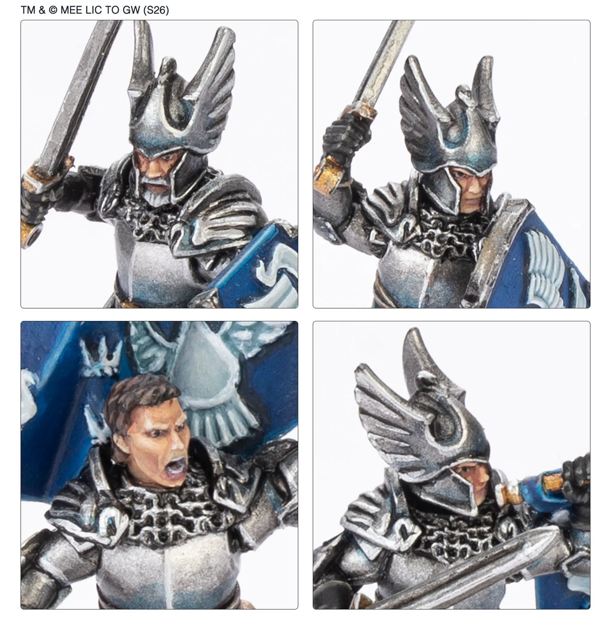 Foot Knights of Dol Amroth™