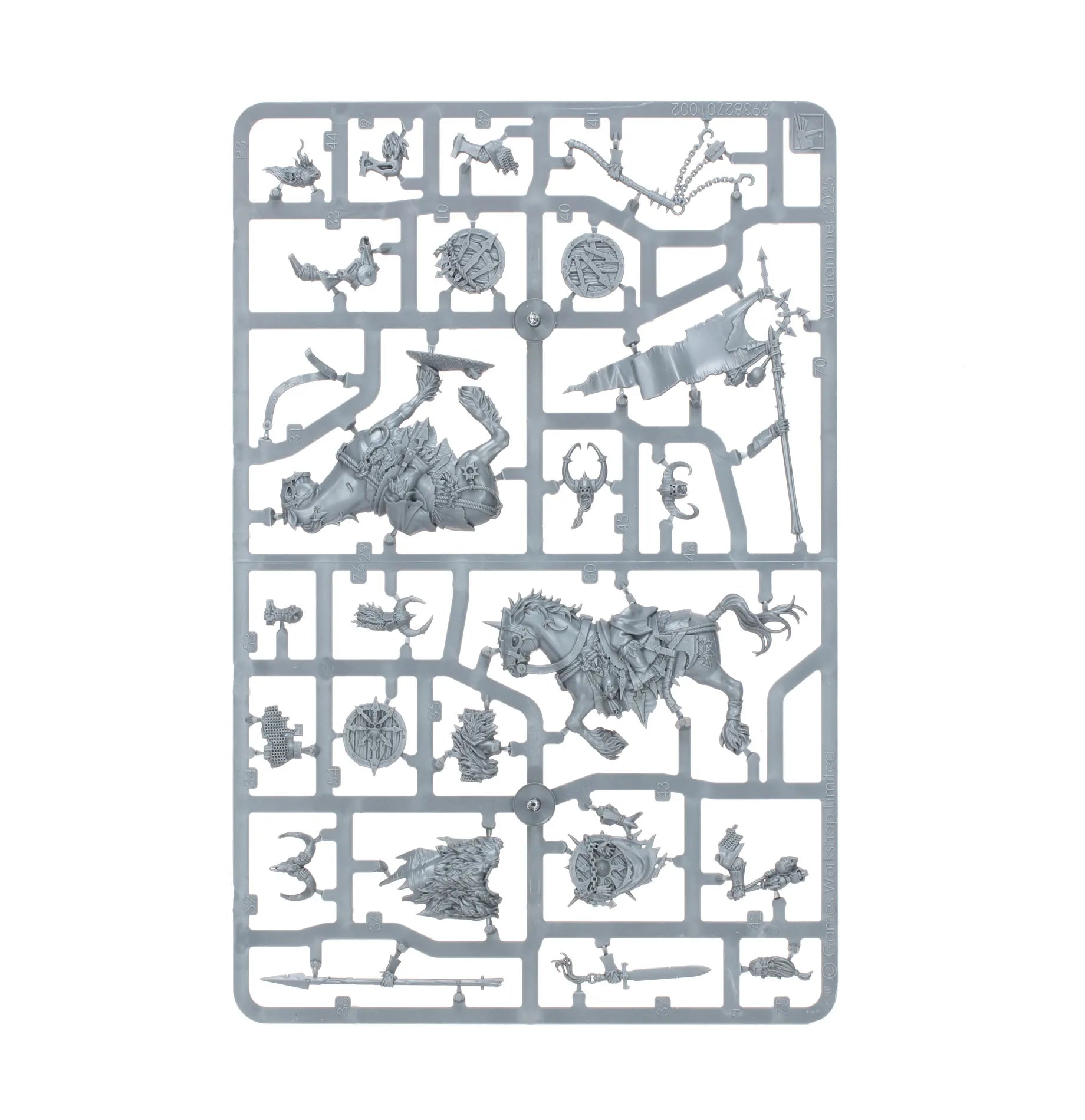 Guerriers du Chaos: Set de Renforts d'Armée des Maraudeurs du Chaos