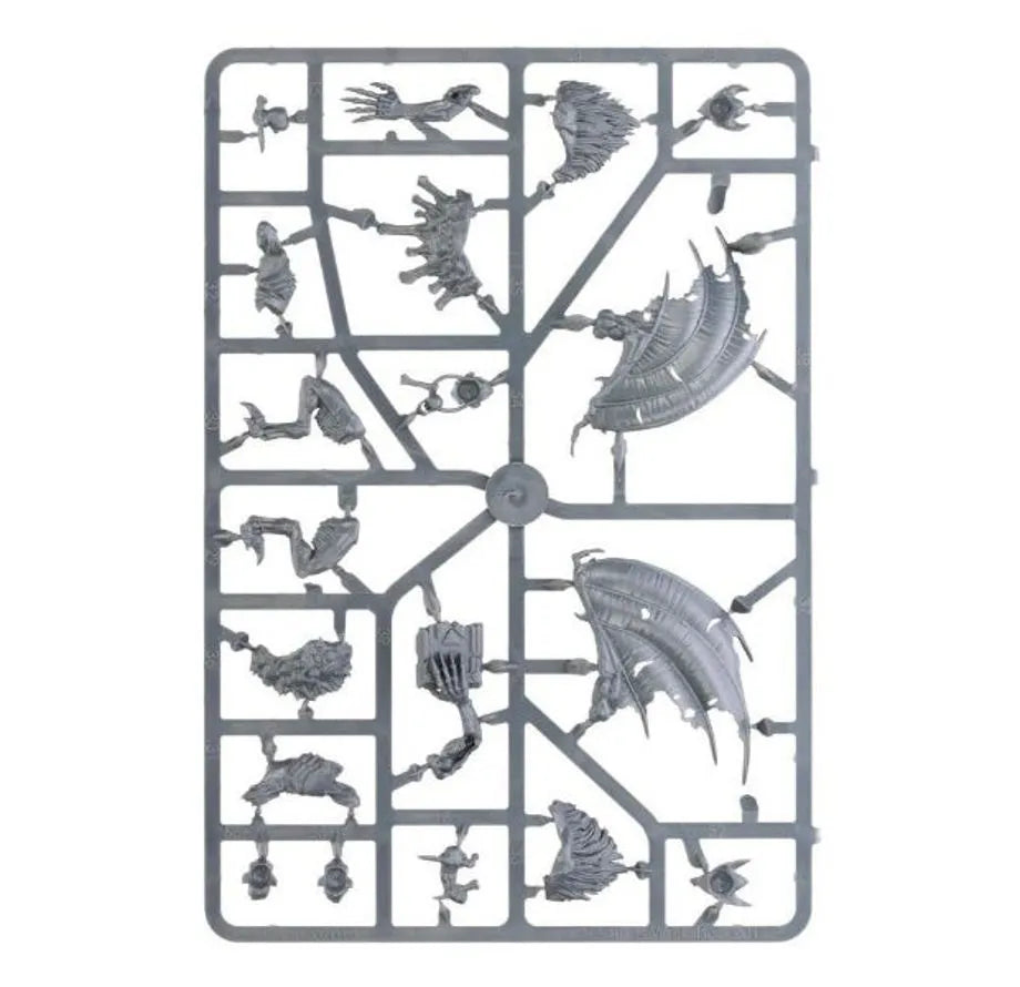 Fer de Lance: Seigneurs Ruinemânes – Chasse Sanguivore