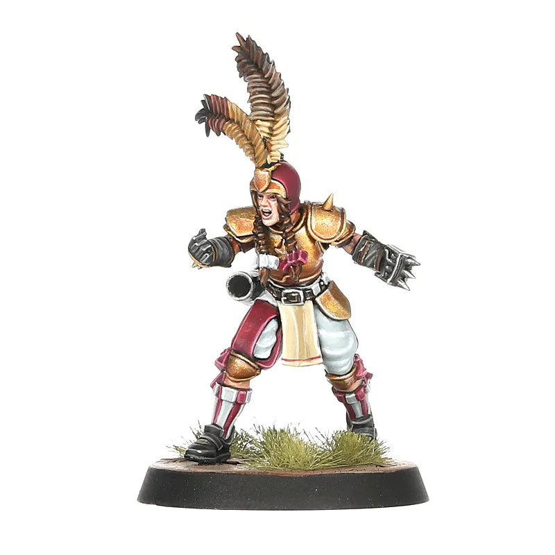 Équipe de la Noblesse Impériale pour Blood Bowl: les Bögenhafen Barons