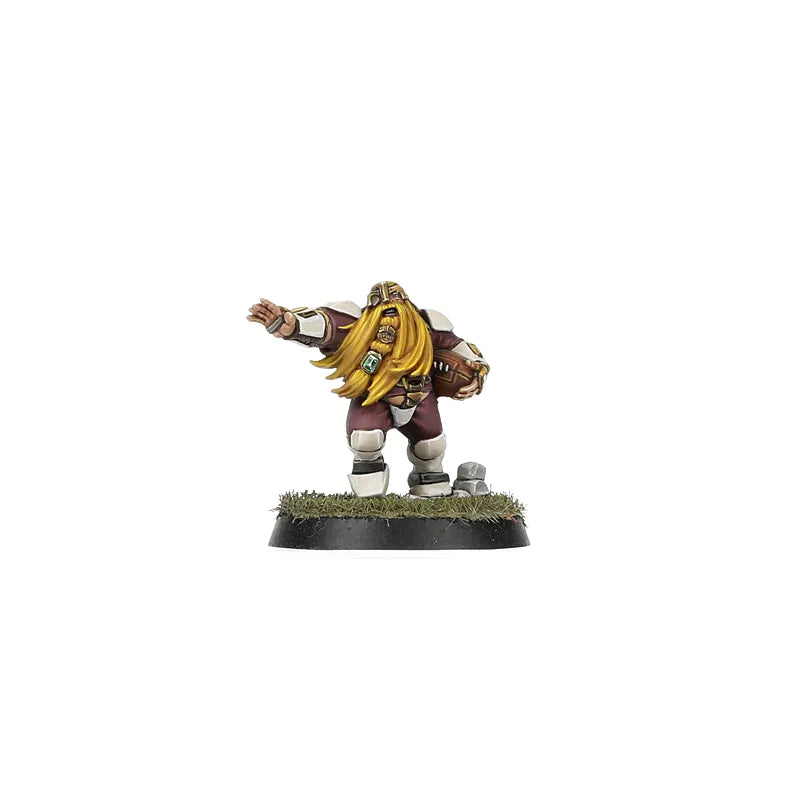 Équipe de Blood Bowl de l'Alliance du Vieux Monde – Middenheim Maulers