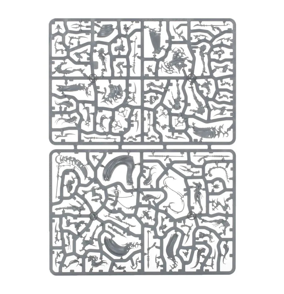 Rôdeurs de l'Ombre Khainites