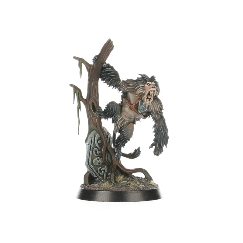 Warcry: Kruelboyz Brakonniers