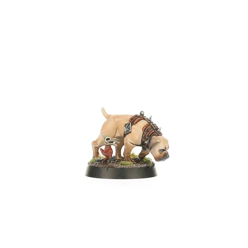 Fer de Lance: Cités de Sigmar – Peloton Fusilier