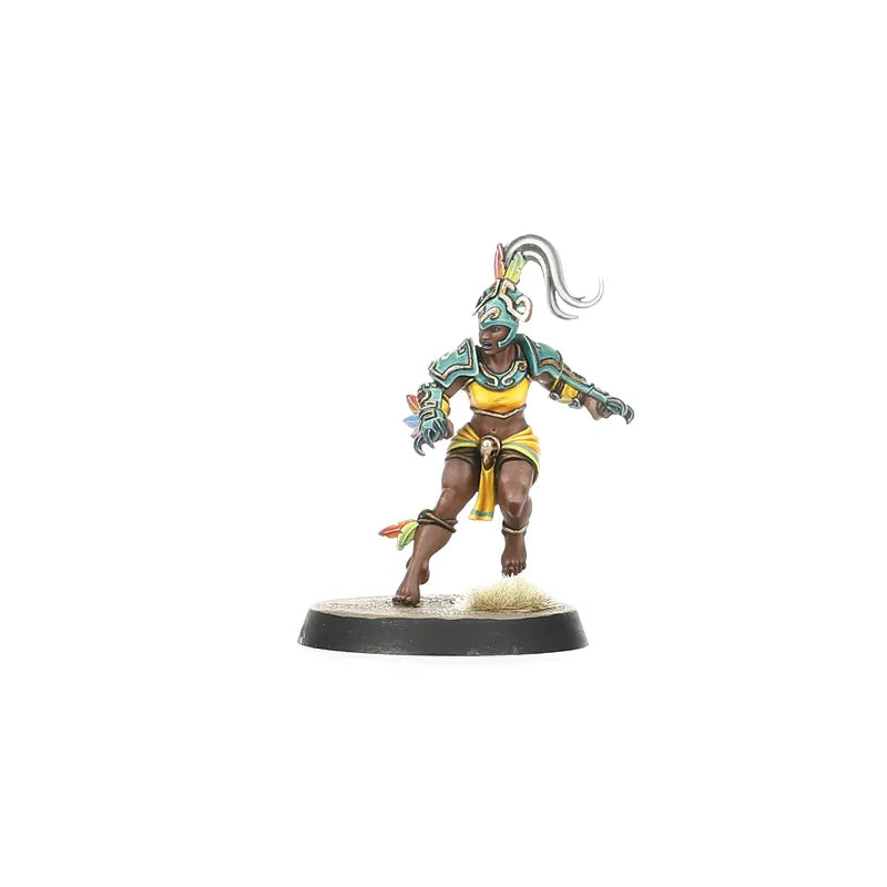 Équipe d'Amazones pour Blood Bowl : Kara Temple Harpies