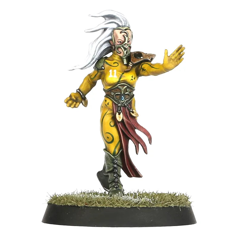 Équipe de Blood Bowl d'Elfes Sylvains: Athelorn Avengers
