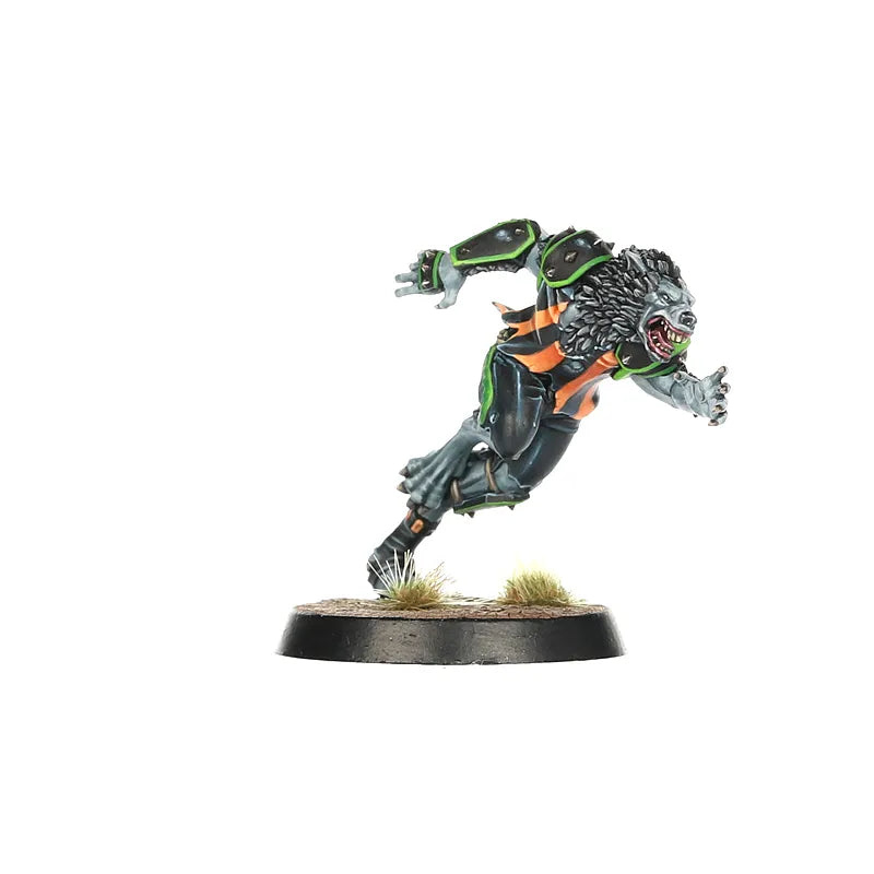Équipe de Blood Bowl d'Horreurs Nécromantiques: les Wolfenburg Crypt-Stealers