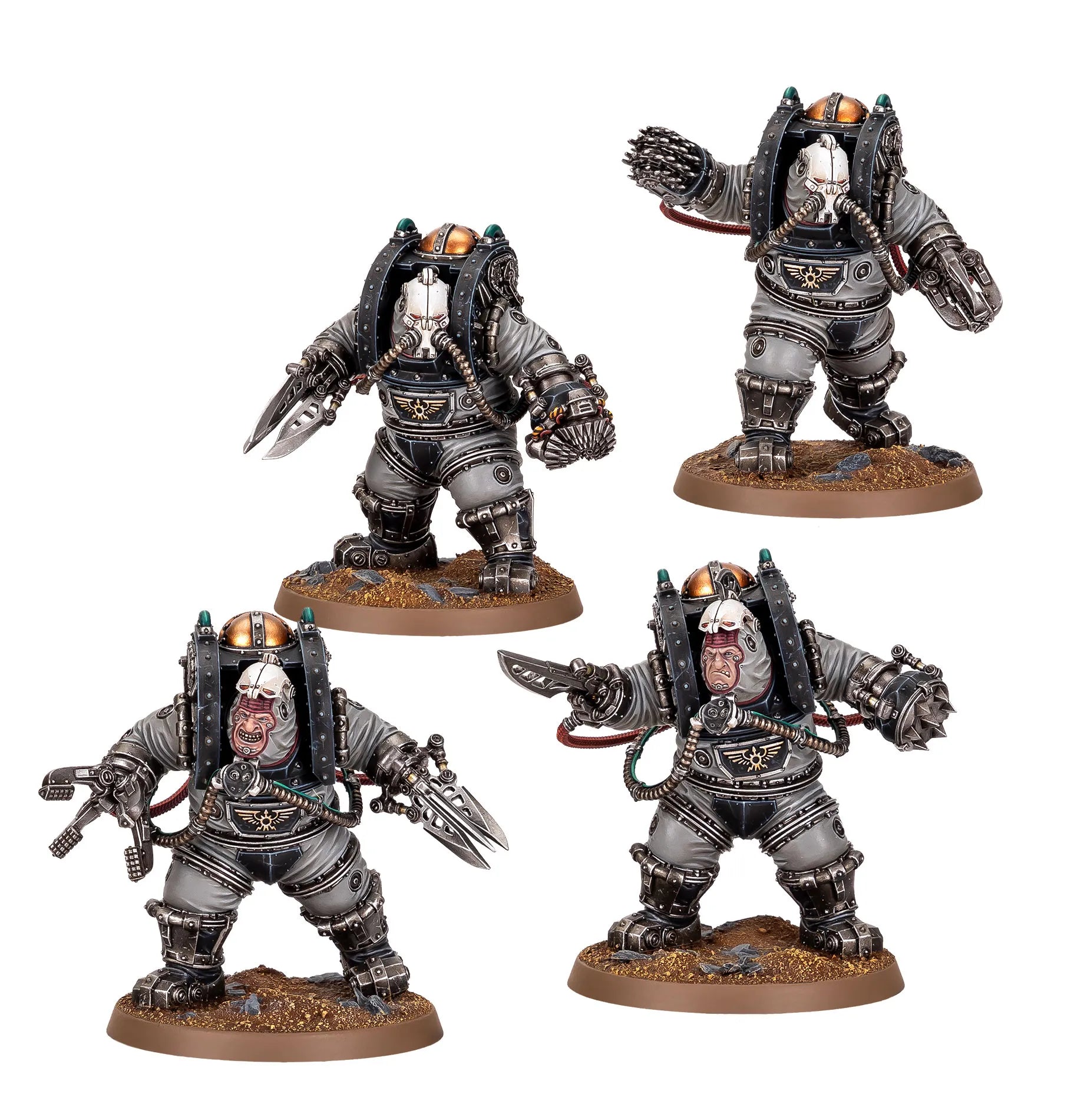 Section d'Ogryns Charonites
