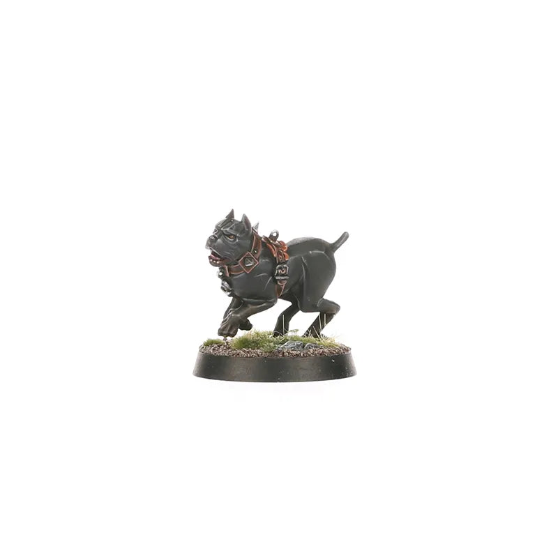 Fer de Lance: Cités de Sigmar – Peloton Fusilier