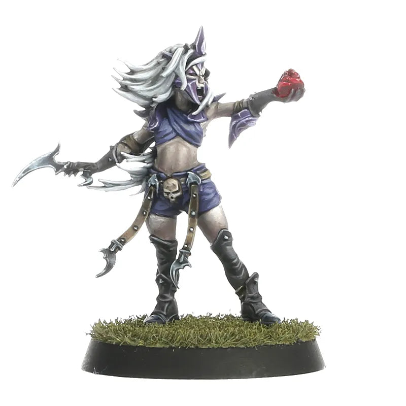 Équipe de Blood Bowl d'Elfes Noirs: Naggaroth Nightmares