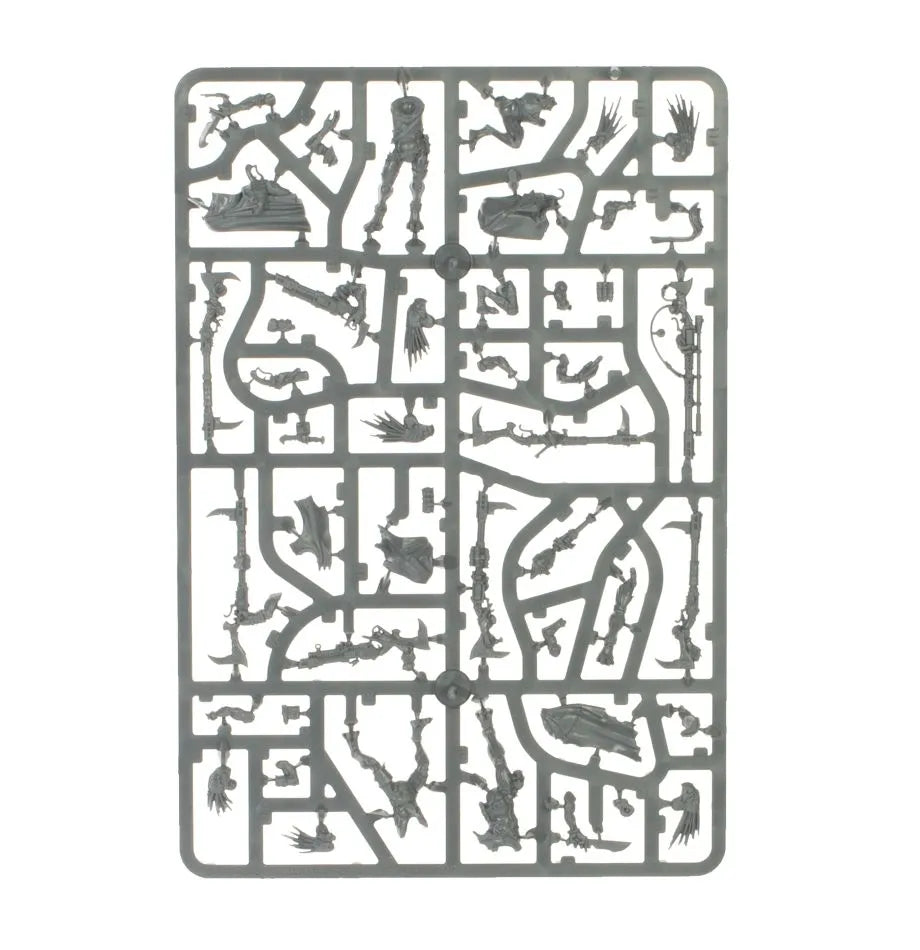 Patrouille: Kroots