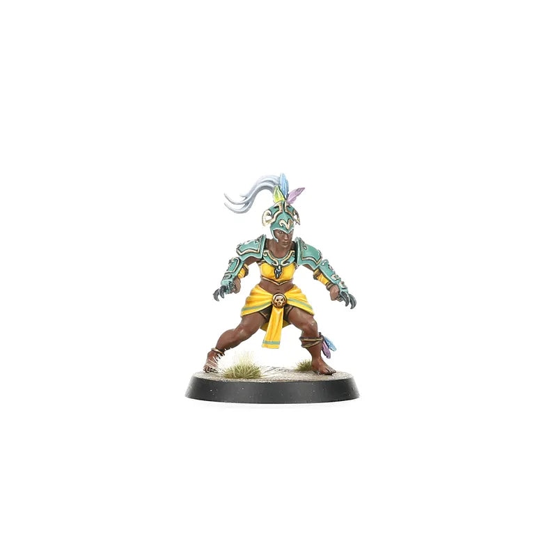 Équipe d'Amazones pour Blood Bowl : Kara Temple Harpies