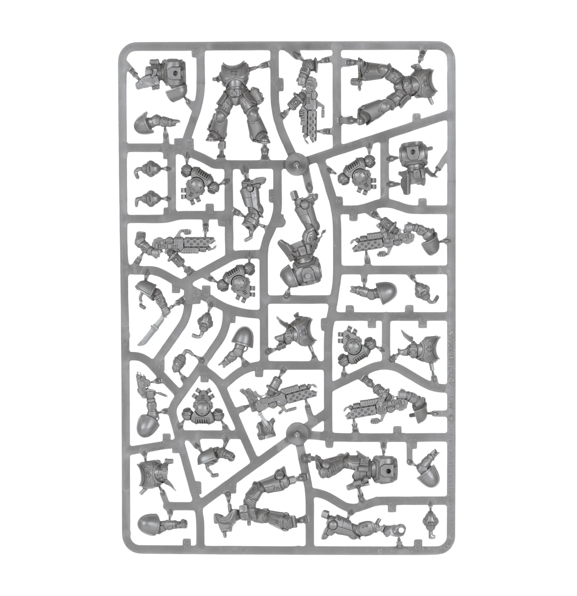 Patrouille: Salamanders