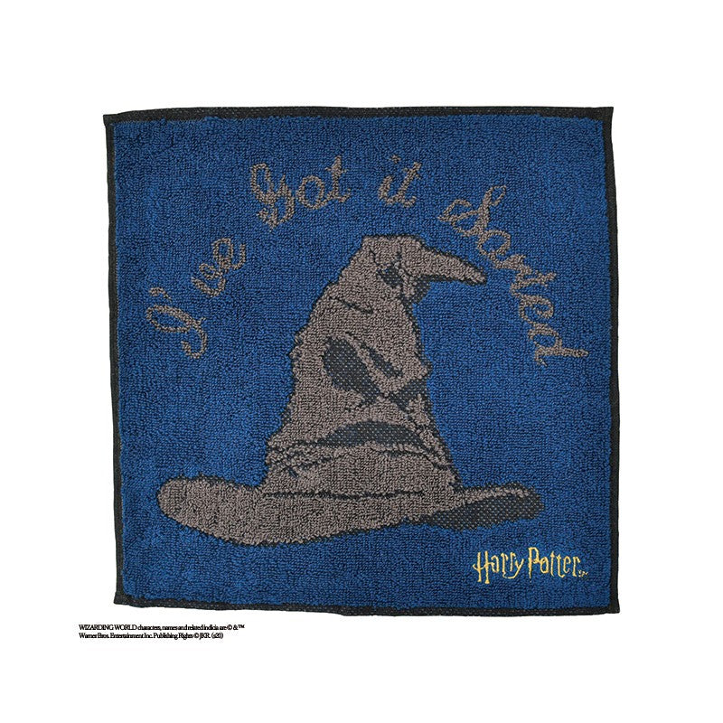MINI SERVIETTE CHOIXPEAU MAGIQUE 25X25 CM - HARRY POTTER