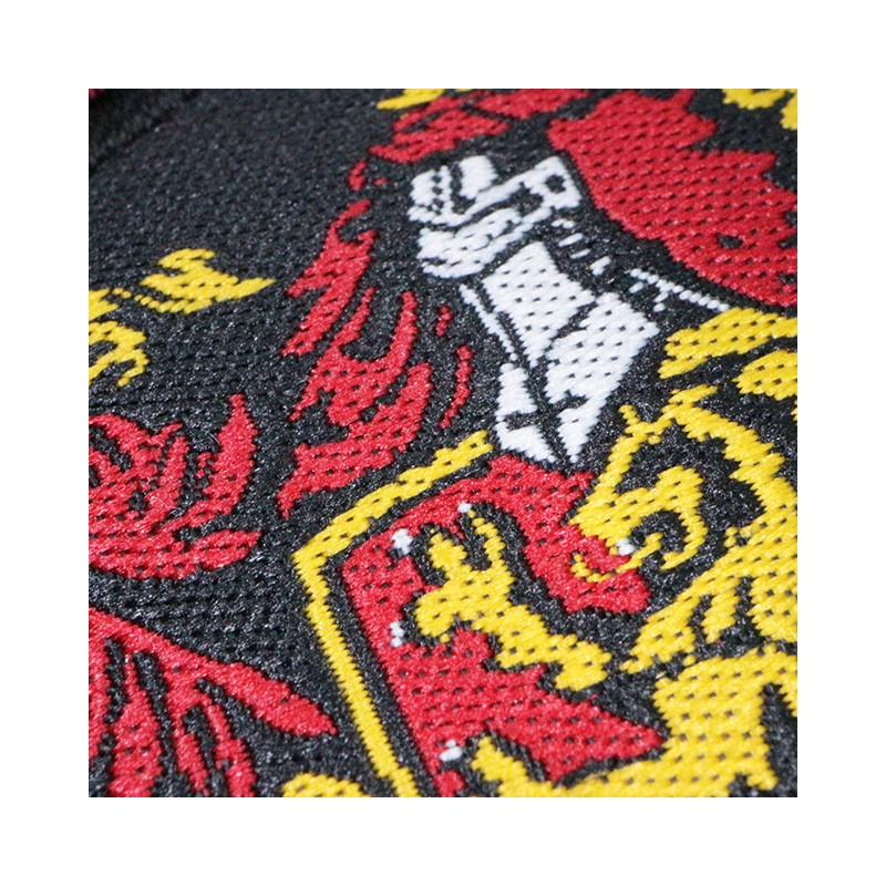MINI SERVIETTE GRYFFONDOR 25X25 CM - HARRY POTTER